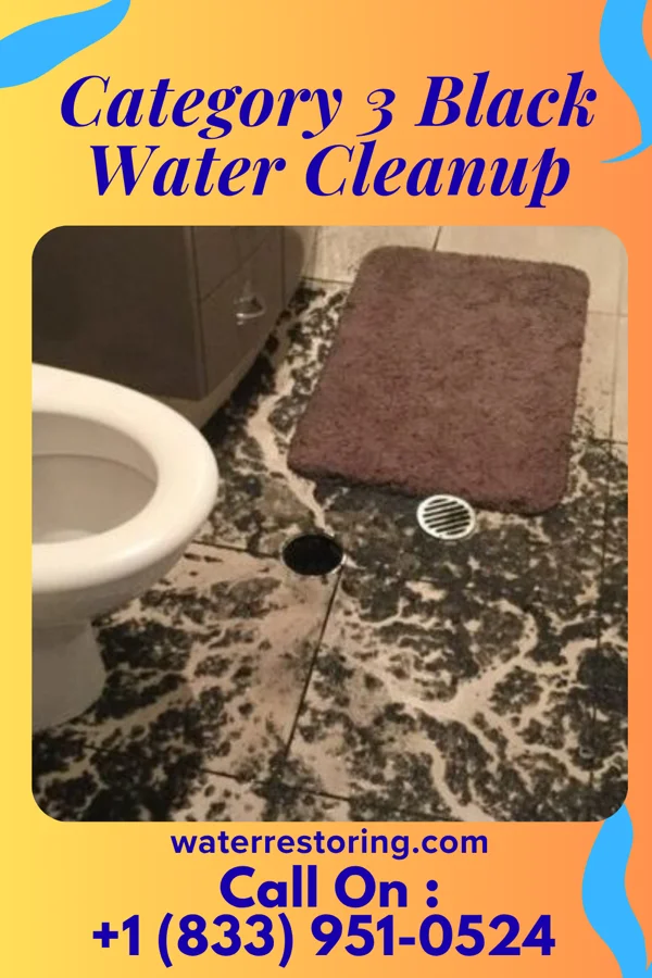 Category 3 Black Water Cleanup in Blackhawk, SD